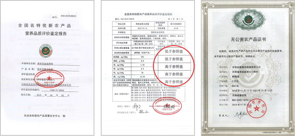 检测报告