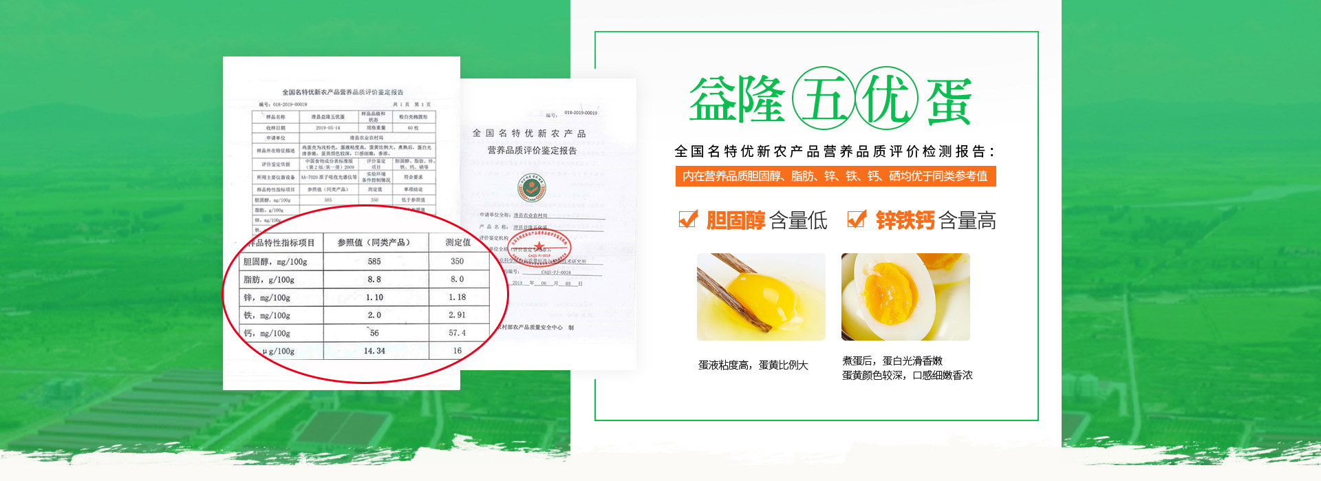 河南益隆蛋禽科技发展有限公司