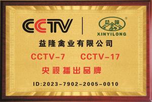央视播出品牌